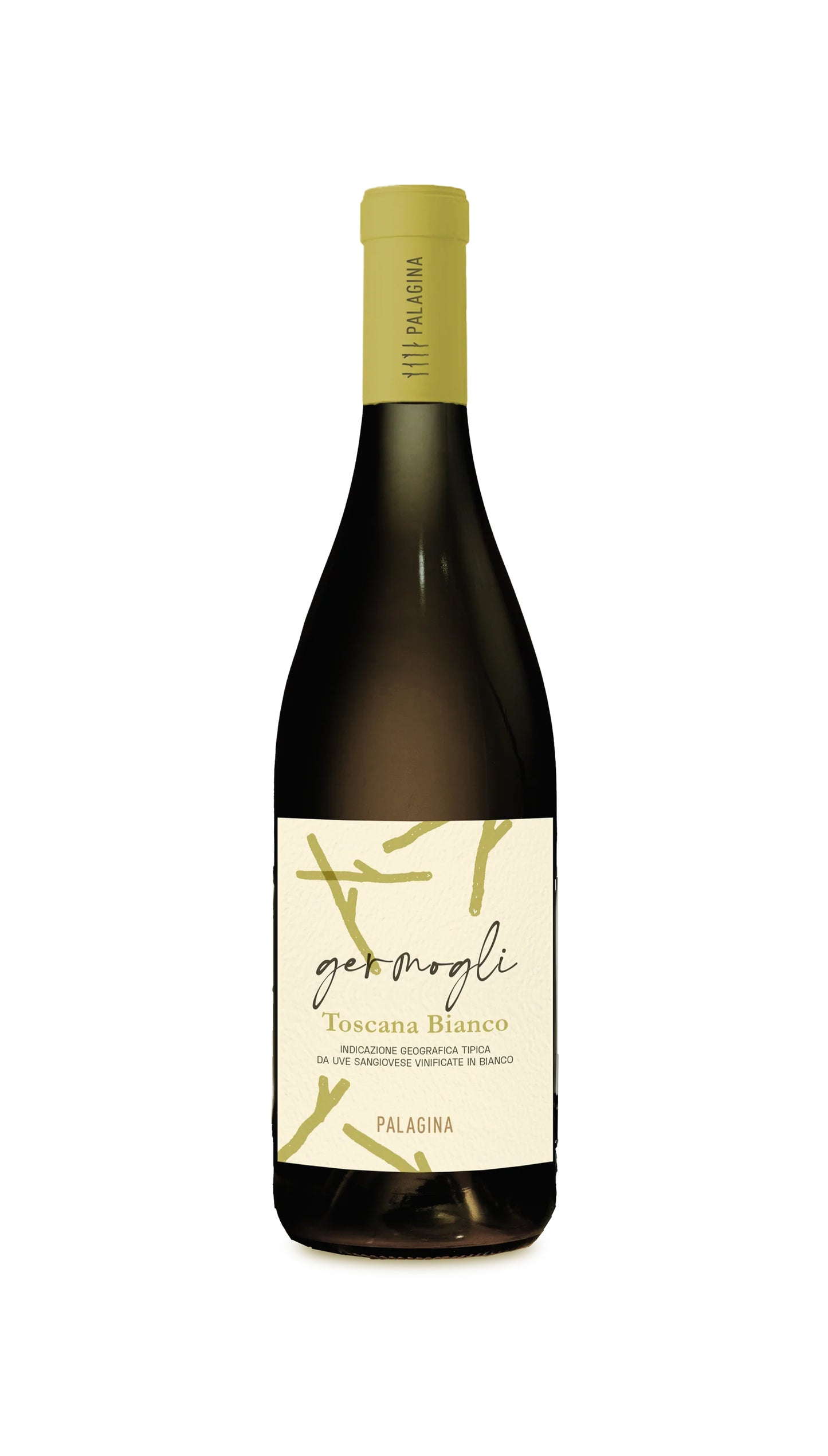 BUDS - White Sangiovese